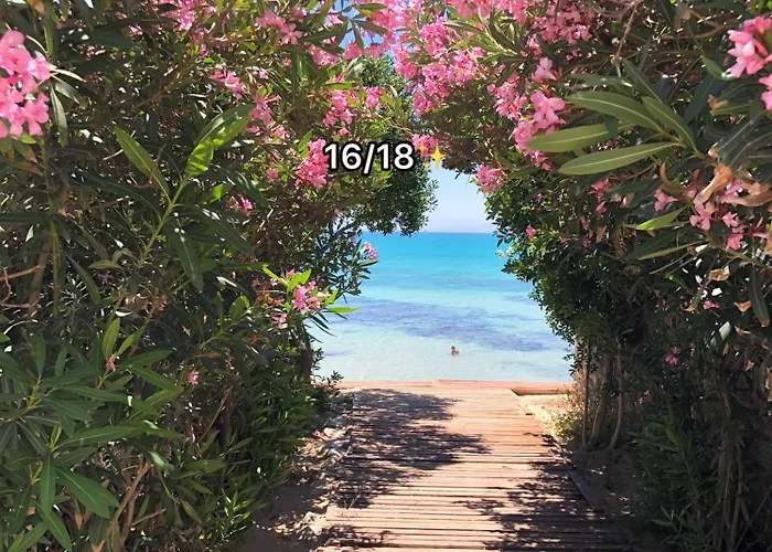 Cozy & Lovely Studio In Hammamet -Stylish Place La Rosa Studio